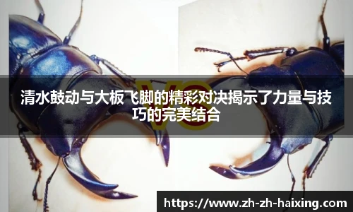 清水鼓动与大板飞脚的精彩对决揭示了力量与技巧的完美结合