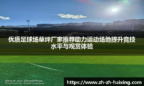 优质足球场草坪厂家推荐助力运动场地提升竞技水平与观赏体验